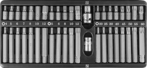 Набор вставок-бит 10 мм  шестигранных H4-12 мм, Torx Т20-Т60, Spline М5-М12 (30 и 75 мм), 42 предмета JONNESWAY