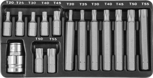 Набор вставок-бит 10 мм  TORX® (30 и 75 мм), Т20-Т55, 15 предметов JONNESWAY