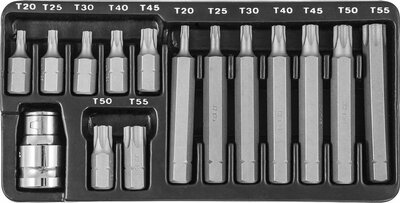 Набор вставок-бит 10 мм  TORX® (30 и 75 мм), Т20-Т55, 15 предметов JONNESWAY 1615